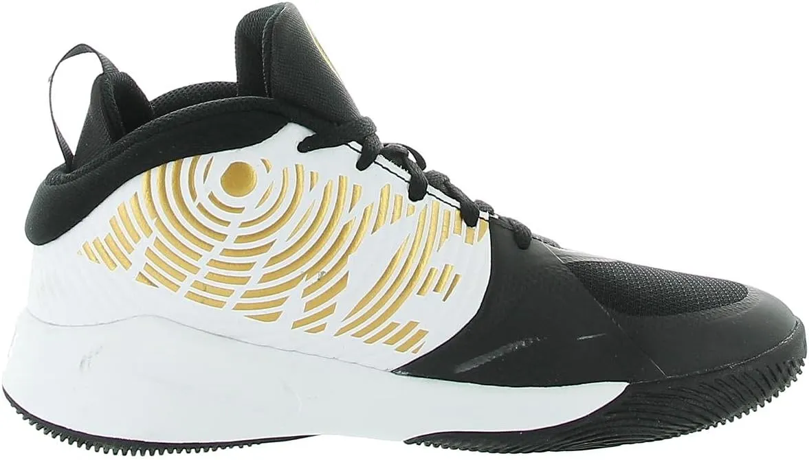 Nike Unisex-Child Team Hustle D 9 Pre School Basketball Shoe