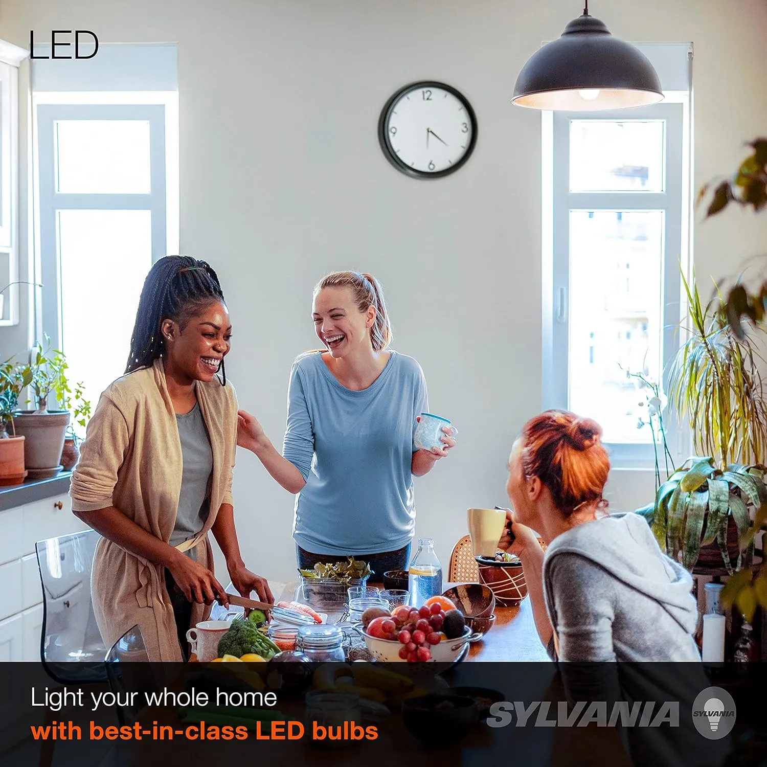 SYLVANIA LED A19 Light Bulb, 60W Equivalent, Efficient 8.5, 10 Year, W, 5000K, 800 Lumens, Frosted, Daylight - 24 Count (Pack of 1)