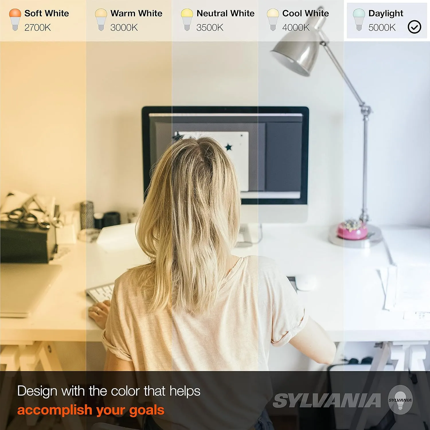 SYLVANIA LED A19 Light Bulb, 60W Equivalent, Efficient 8.5, 10 Year, W, 5000K, 800 Lumens, Frosted, Daylight - 24 Count (Pack of 1)